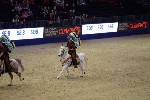 Quadrille - 00313